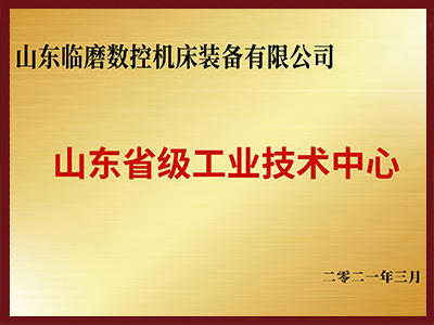 Shandong Provincial Industrial Technology Center Award