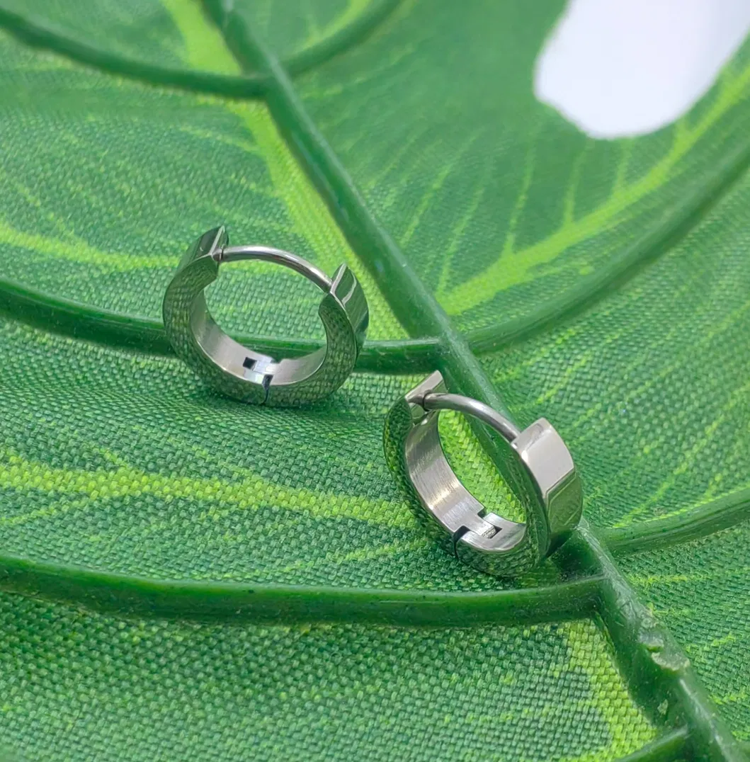 Pure Titanium Earrings 1