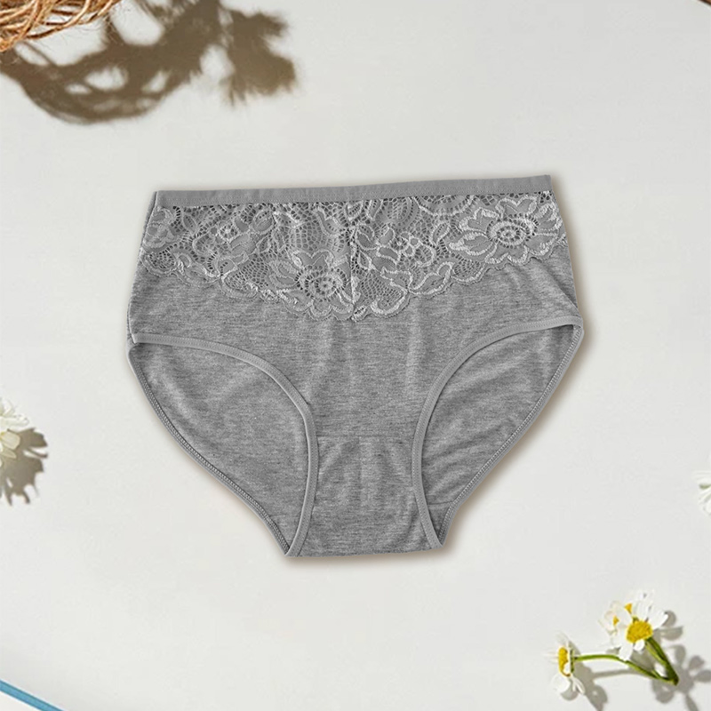 Lace Sexy High-Waisted Briefs Underwear