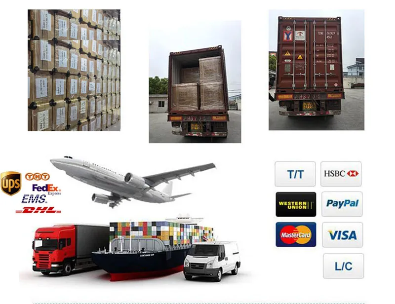 Shipping and Logistics