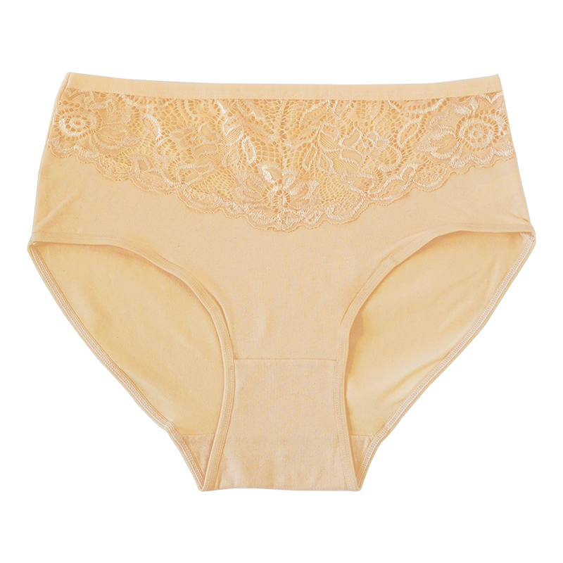 Lace Sexy High-Waisted Briefs Underwear