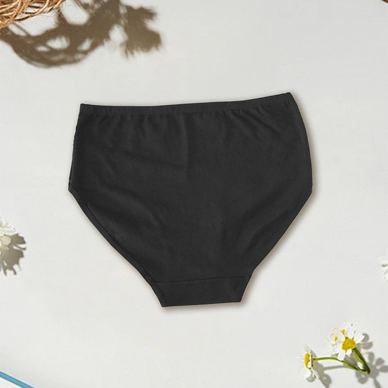 Lace Sexy High-Waisted Briefs Underwear