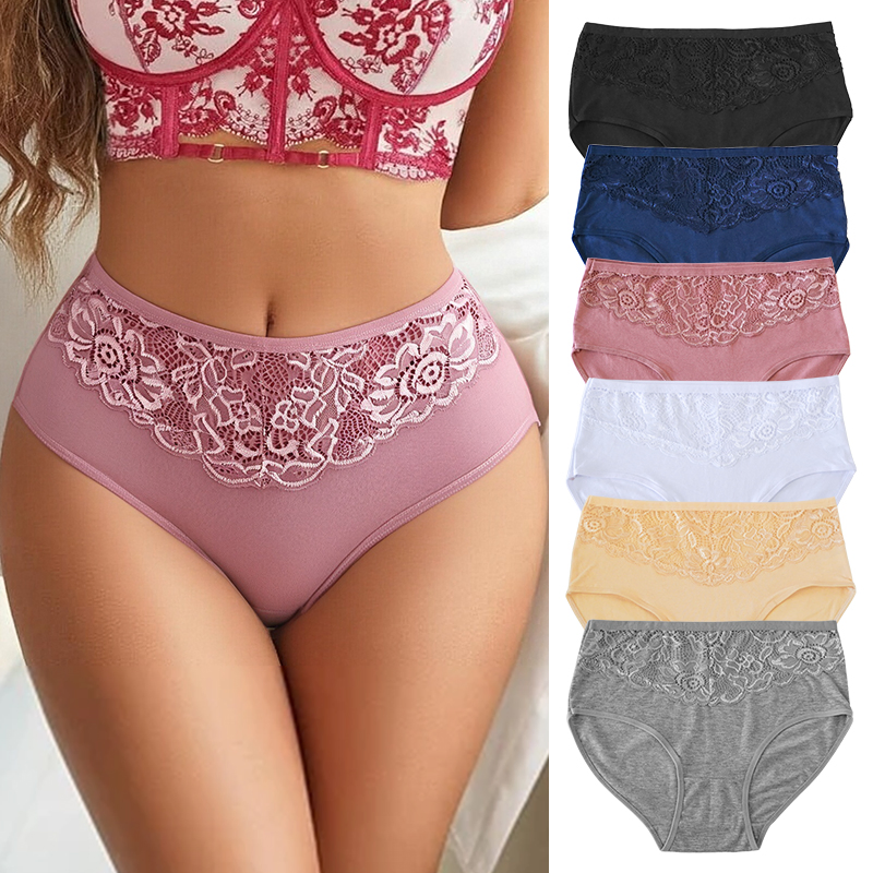 Lace Sexy High-Waisted Briefs Underwear