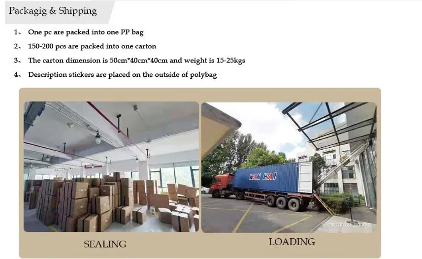 Size Guide/Color Chart