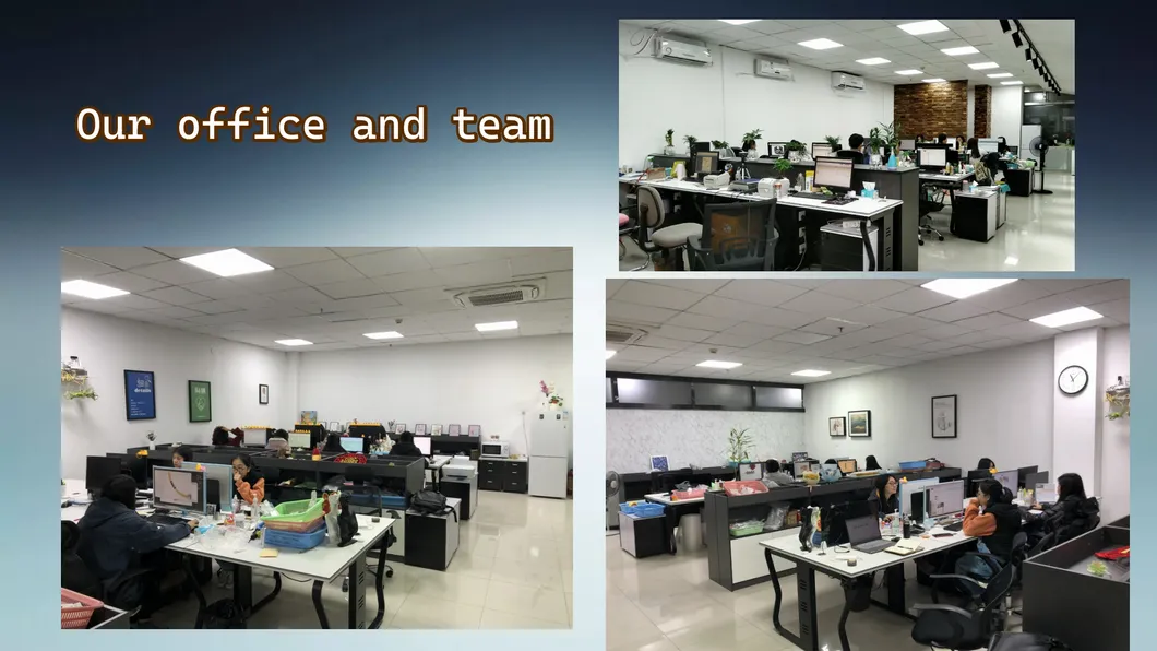 Office and Team
