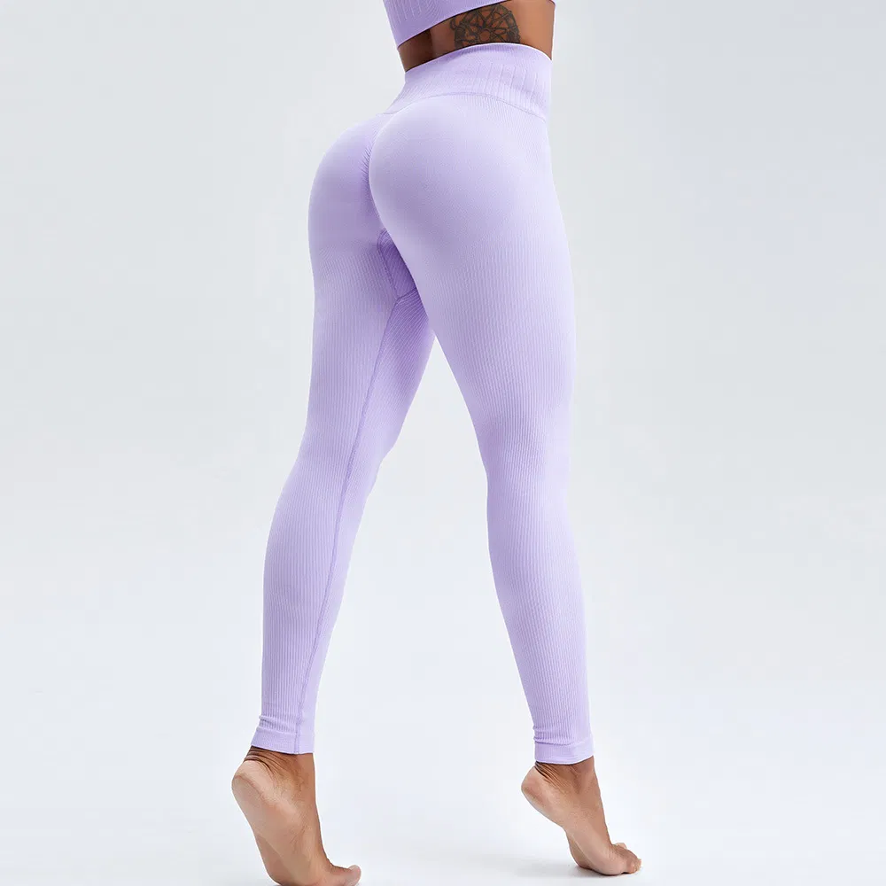 Breathable Seamless Ladies Tight Gym Yoga High-Waist Tummy-Control Leggings Women Sports Wear