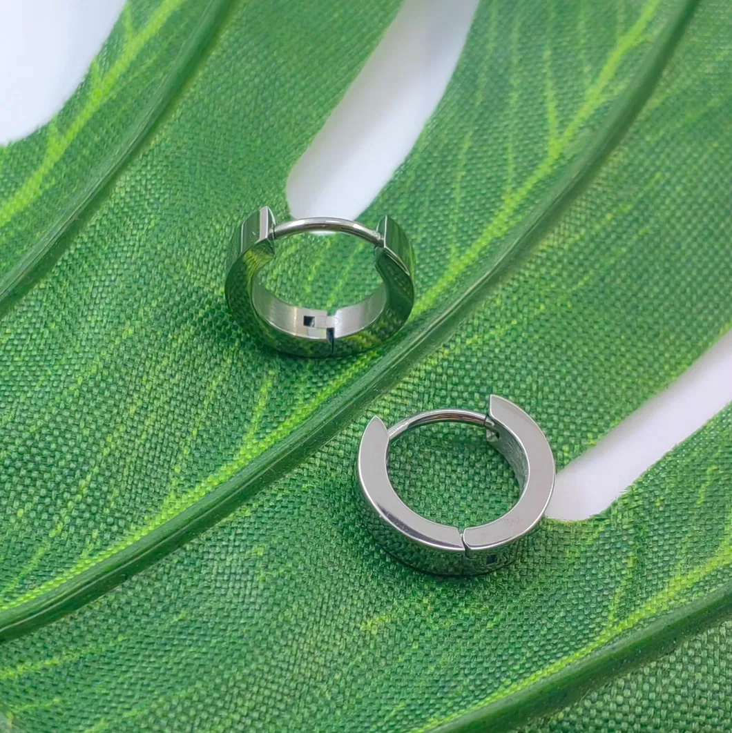 Pure Titanium Earrings 9