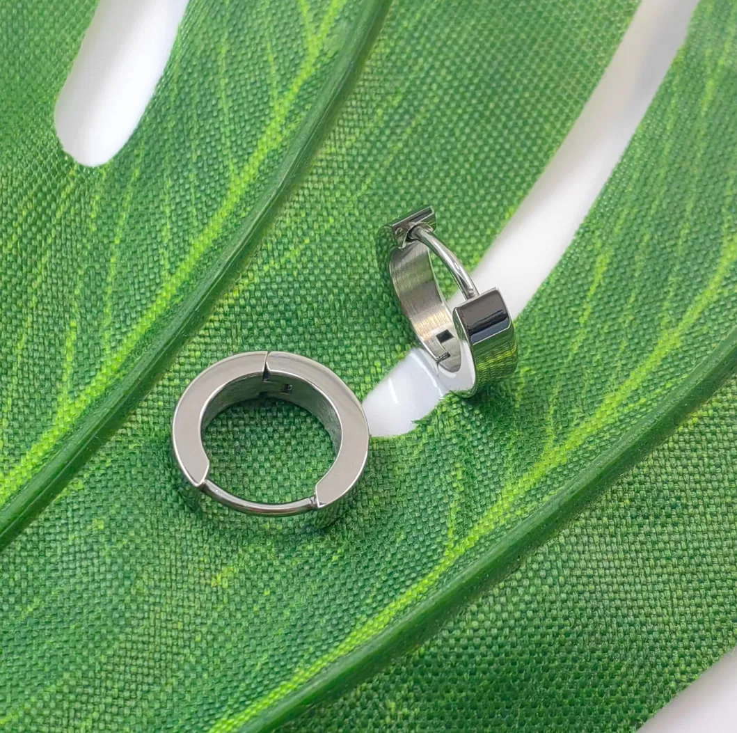 Pure Titanium Earrings 2