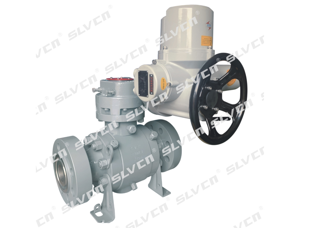 Class 2500 Trunnion Mounted Metal Seated DBB Ball Valve
