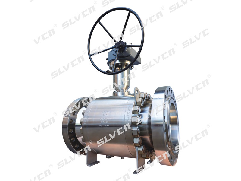 Class 900 Reduced Port Forged DBB Trunnion