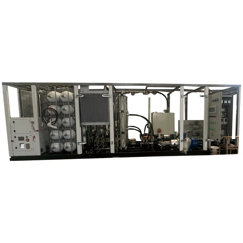 Integrated 1200nm3/H Smart PLC Control Remote Water Proof CNG Daughter Refueling Station