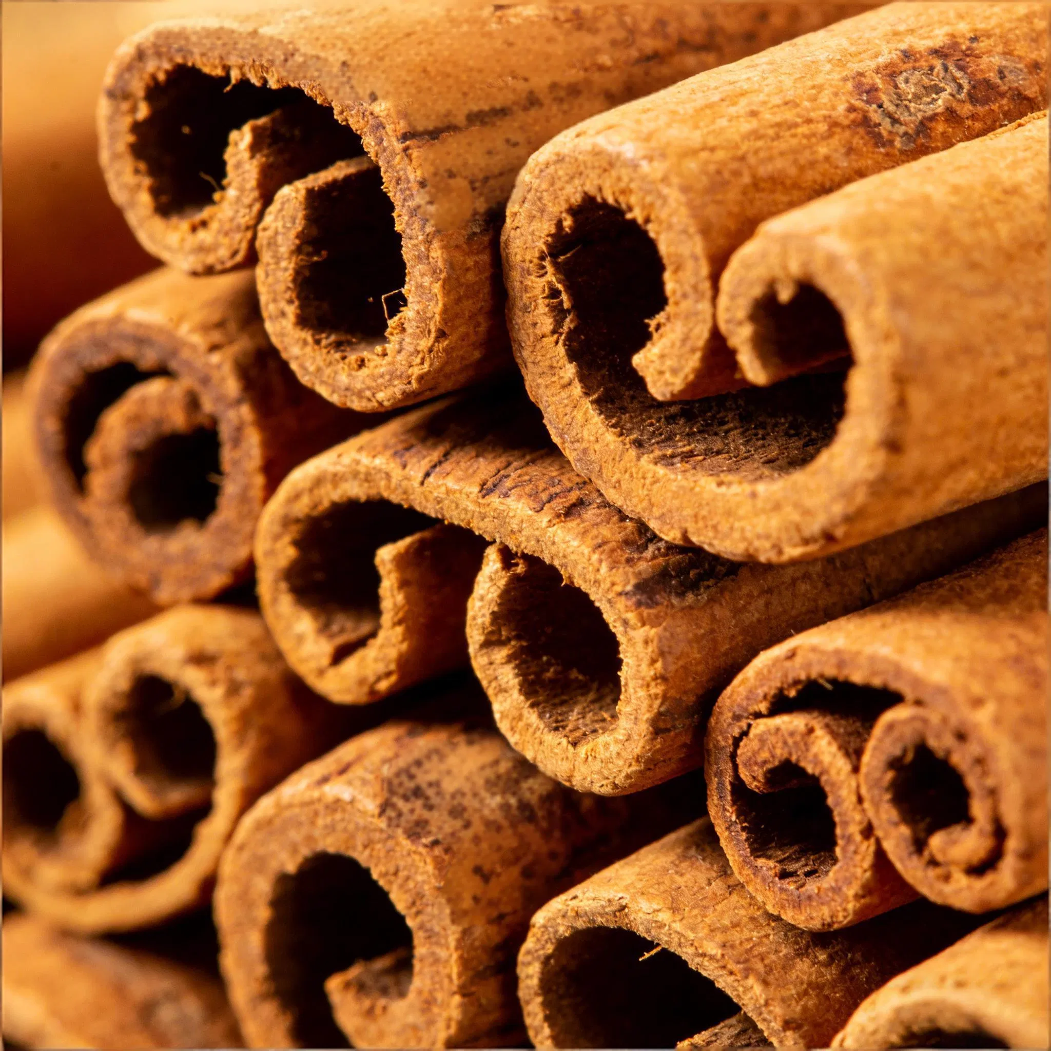 Natural Dried Cassia Guill Cinnamon Stick for Flavorful Meals