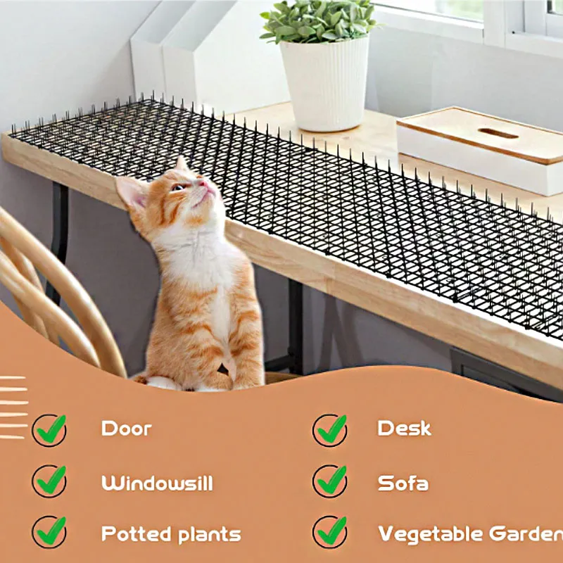 Smart Cat Mat 4