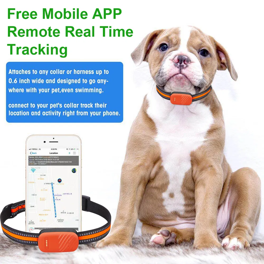 Pet Tracker Design