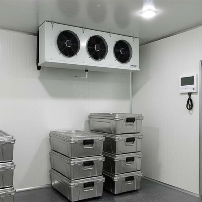 100 Ton Cold Storage for Potato Business