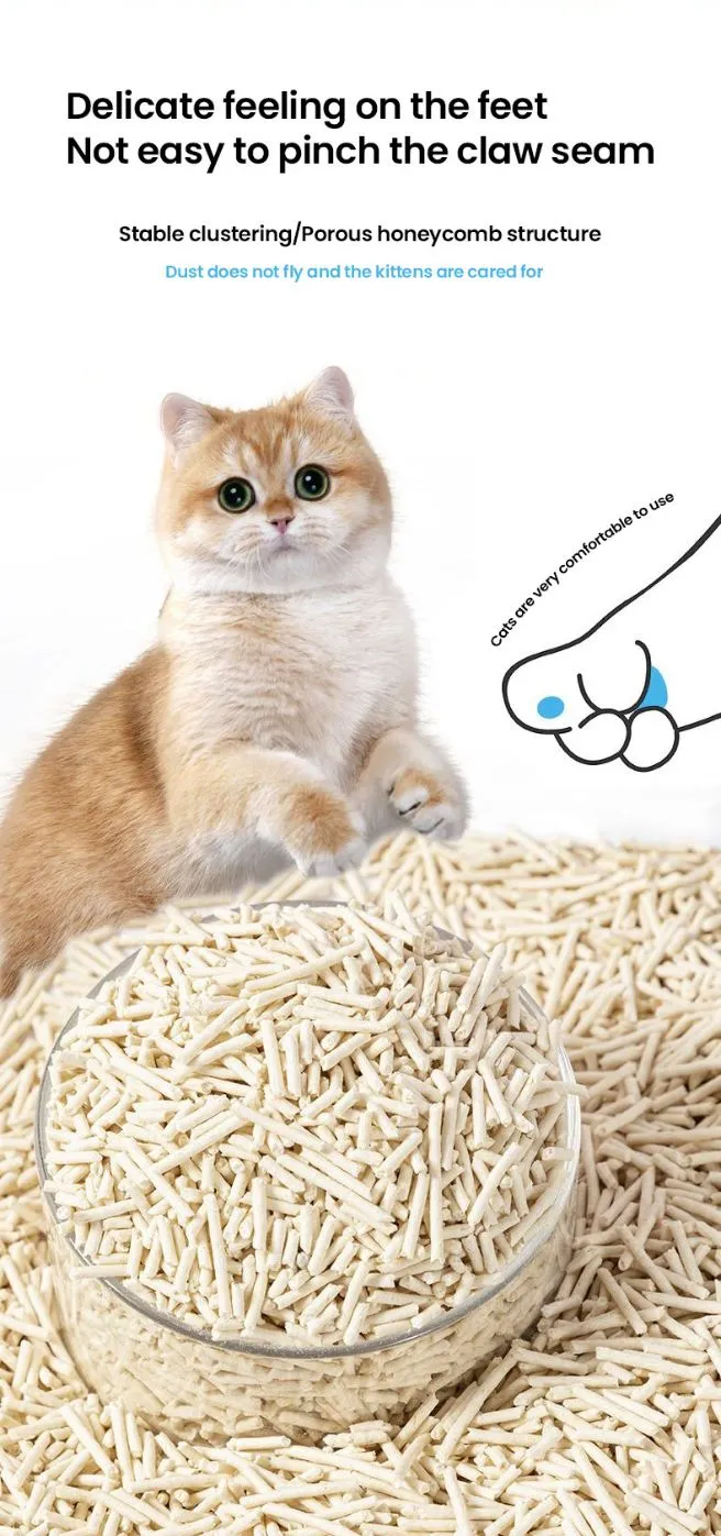 Tofu Litter Variation