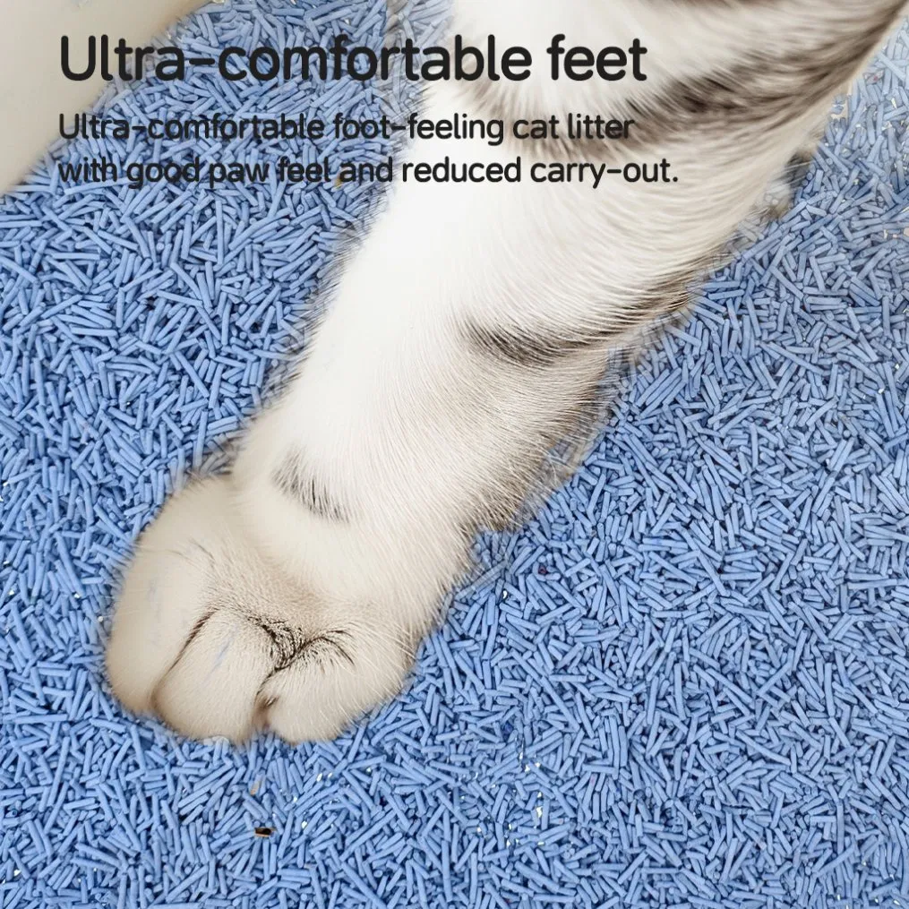 Pet Products Nala Fast Clumping Affordable Arena Para Gatos Dust Free Pet Grooming Automatic Cat Litter Box Eco Friendly Blueberry Scent Tofu Cat Litter