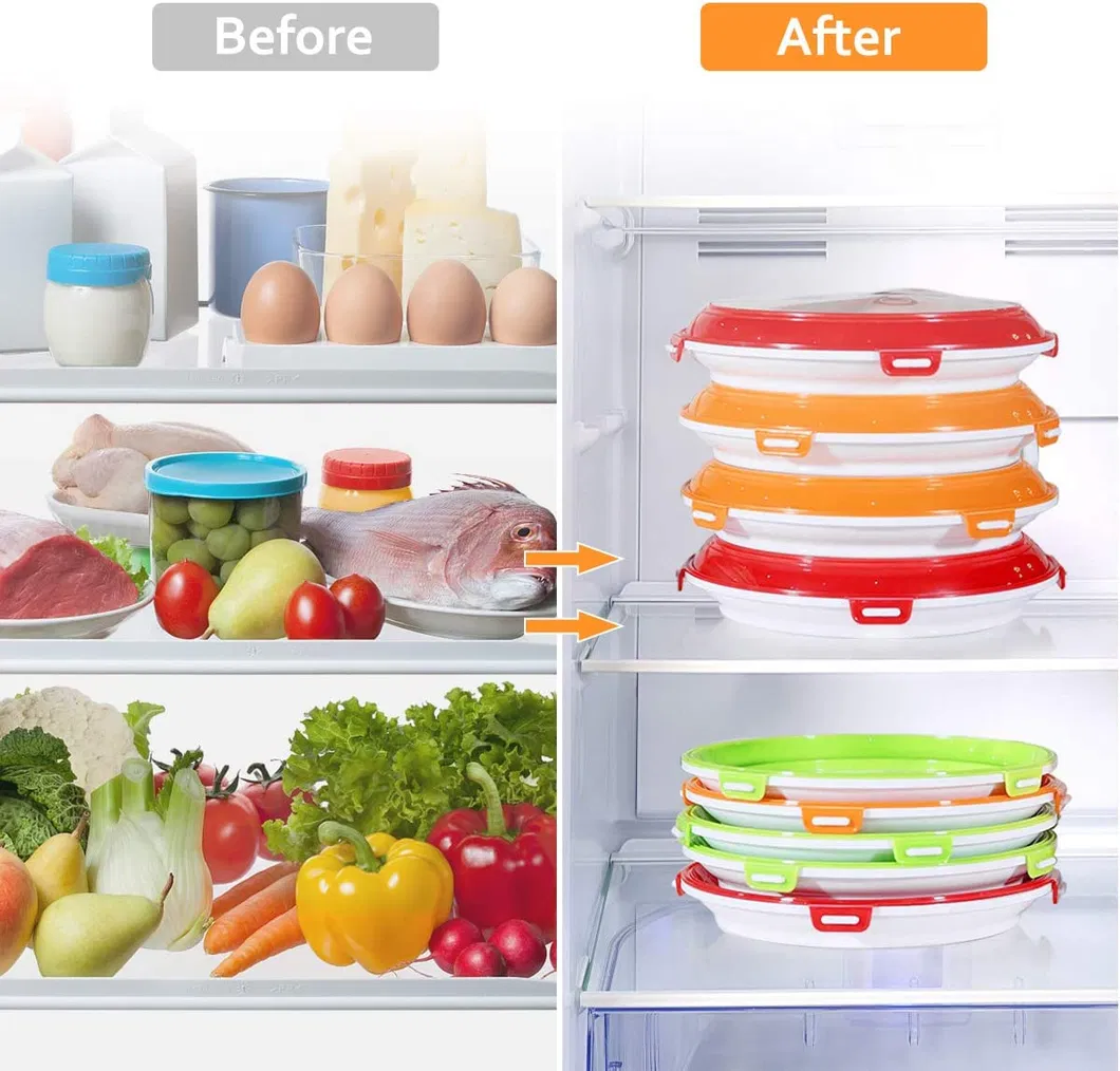 Food Preservation Tray 6