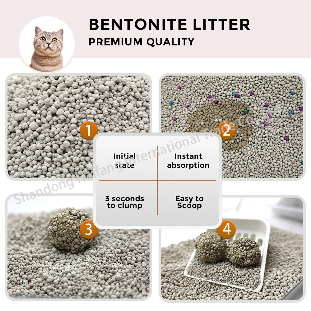 Cat Litter Display