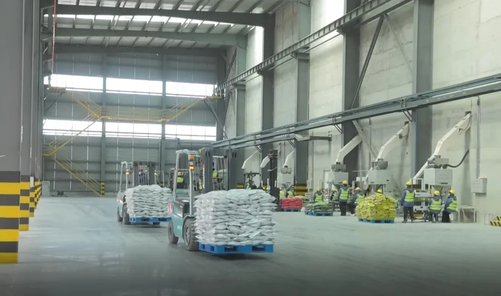 Cat Litter Processing