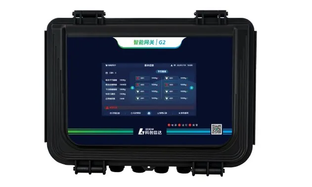 Weighing Scale Detail 1