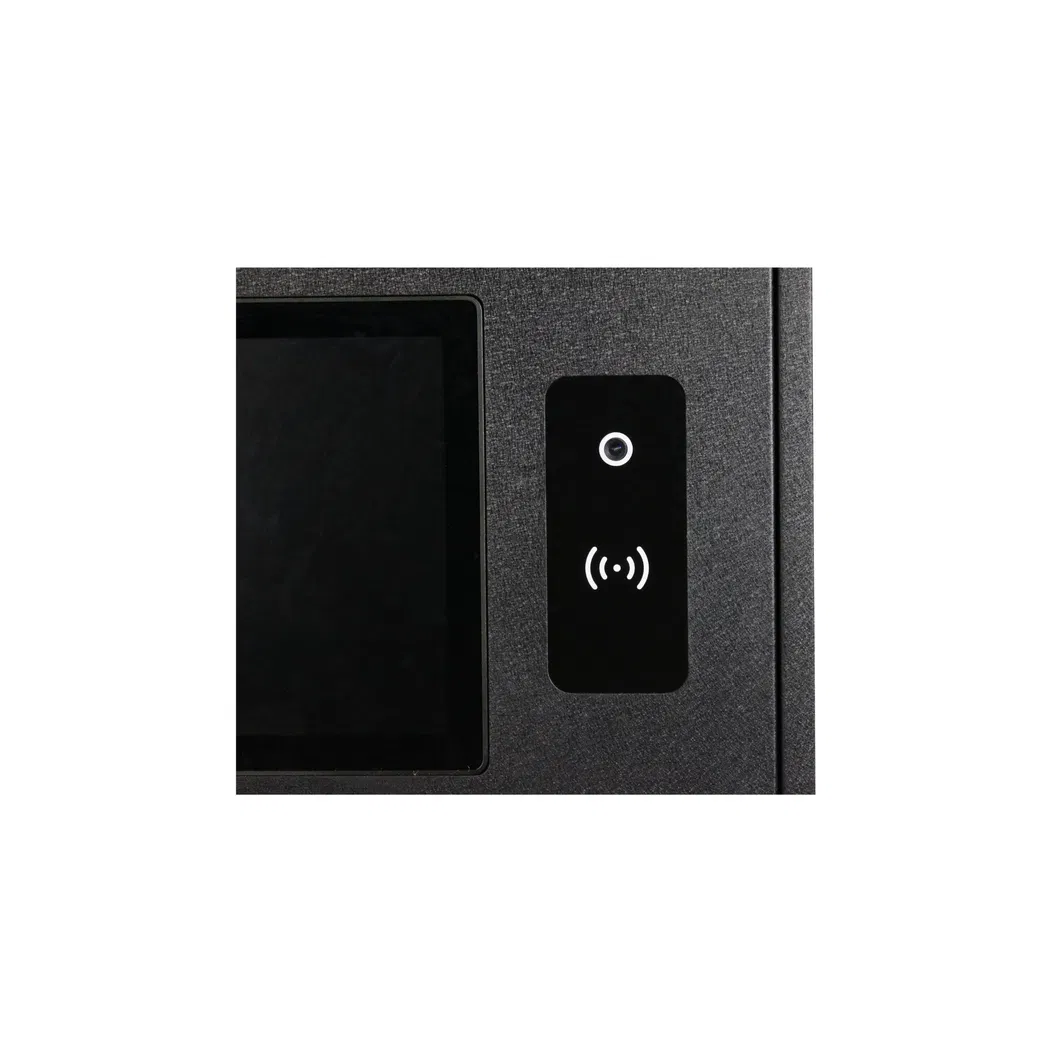 Electronic Key Storage