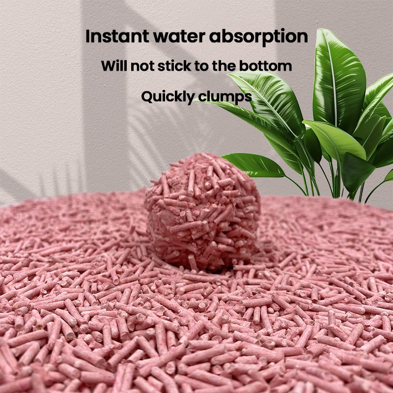 New Kitty Litter for 2025 Premium Non Toxic Litter with High Absorption Quick Clumping Odor Control Biodegradable and Eco Friendly Tofu Cat Litter