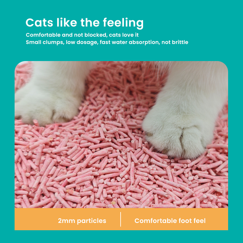 Pet Product Tofu Cat Litter Lightweight Biodegradable Tofu Cat Sands for Post-Operative or Medical Recovery Gentle and Non-Irritating for Indoor Cats