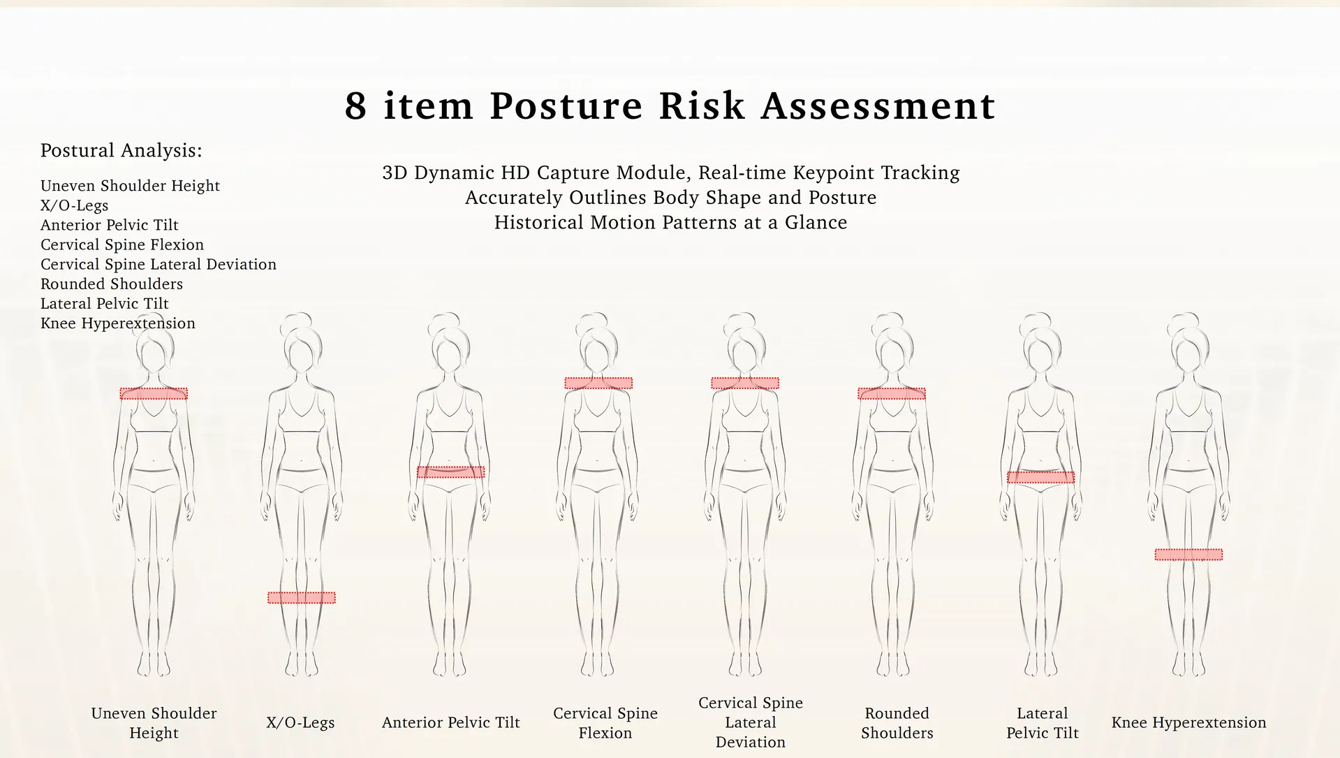 Professional Analyzer