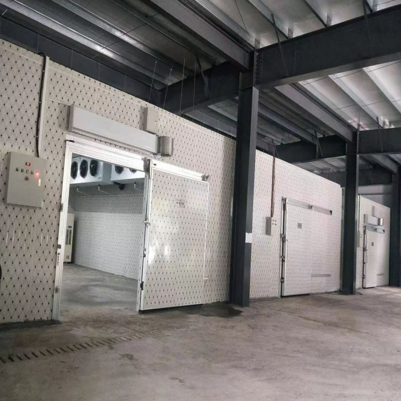 Best 20% Power Saving Chicken Cold Storage Manufacturers