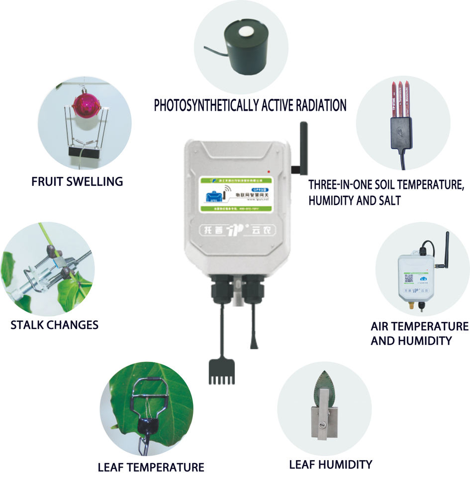 The Latest Plant Physiology and Growth Environment Monitoring System