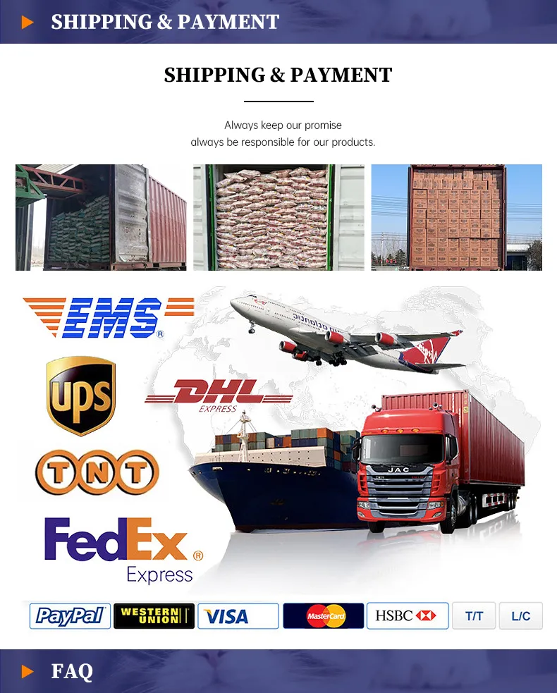 Customization Services