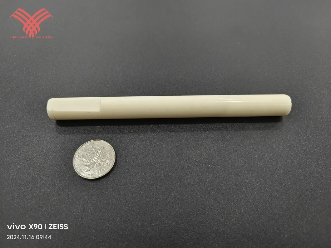 Ceramic Plunger Detail 4