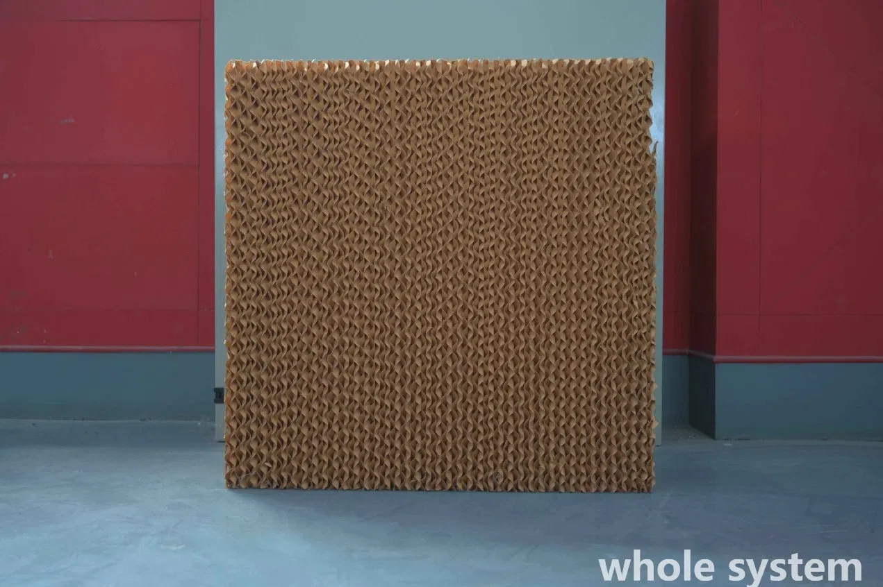 Intelligent Poultry Feeding System for Enhanced Chicken Health