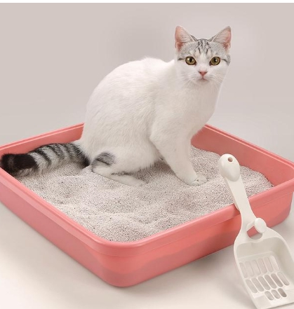High Quality Strong Clumping Antibacterial Bentonite Cat Litter