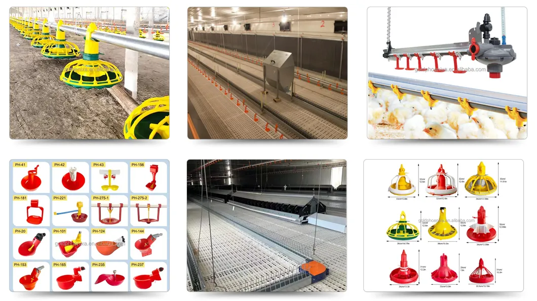 Main Poultry Equipment