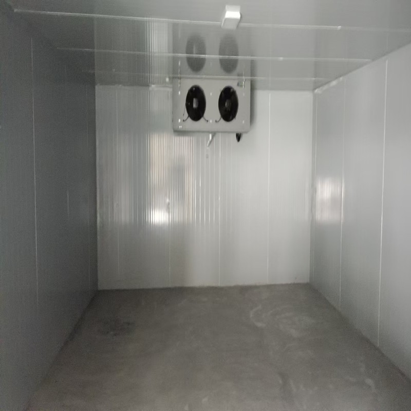 Customized Fish Cold Storage