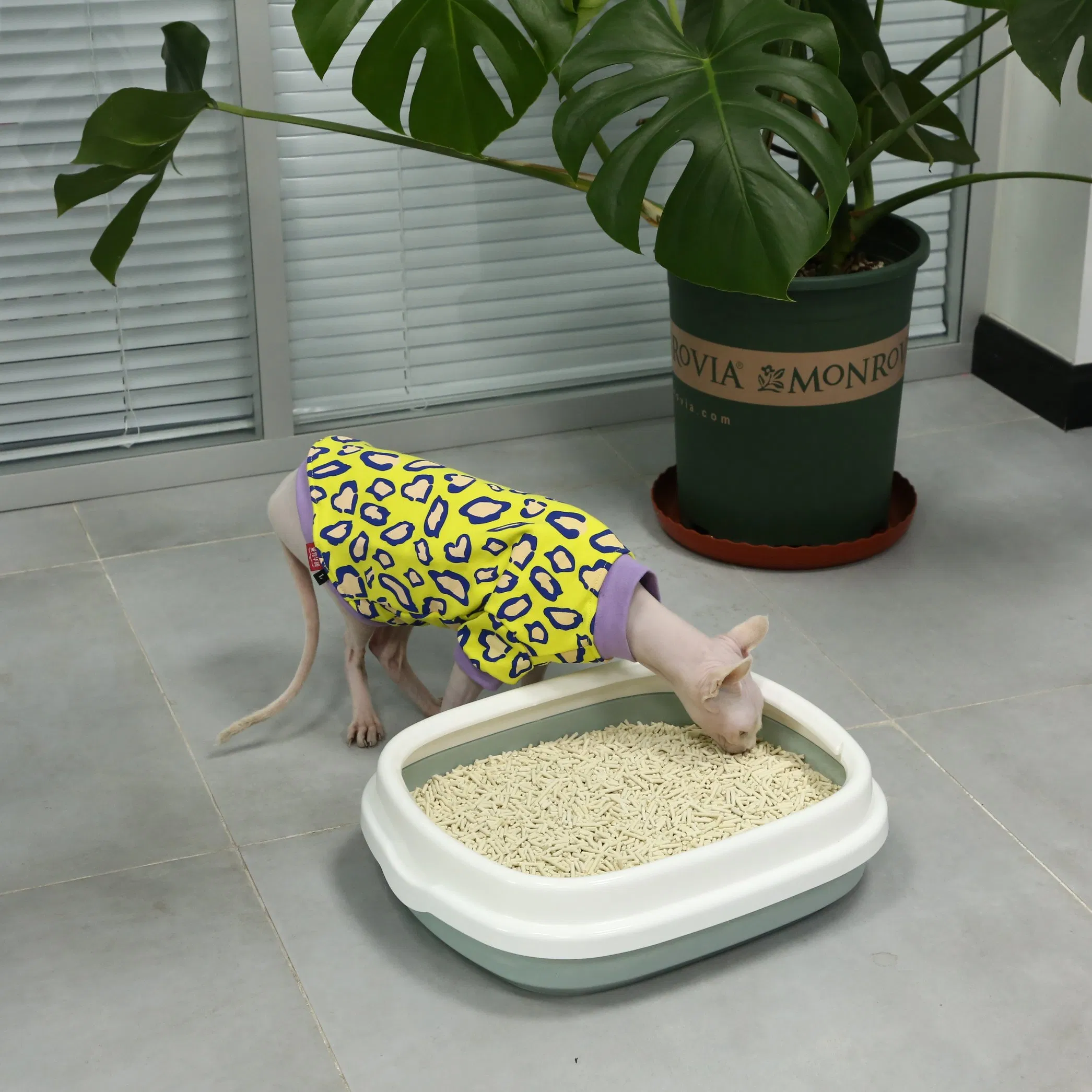 Multi-Perfume Colorful Instant Water Absorption No Dust Strong Odor Control Toilet Clean Tofu Cat Pet Sands Litter