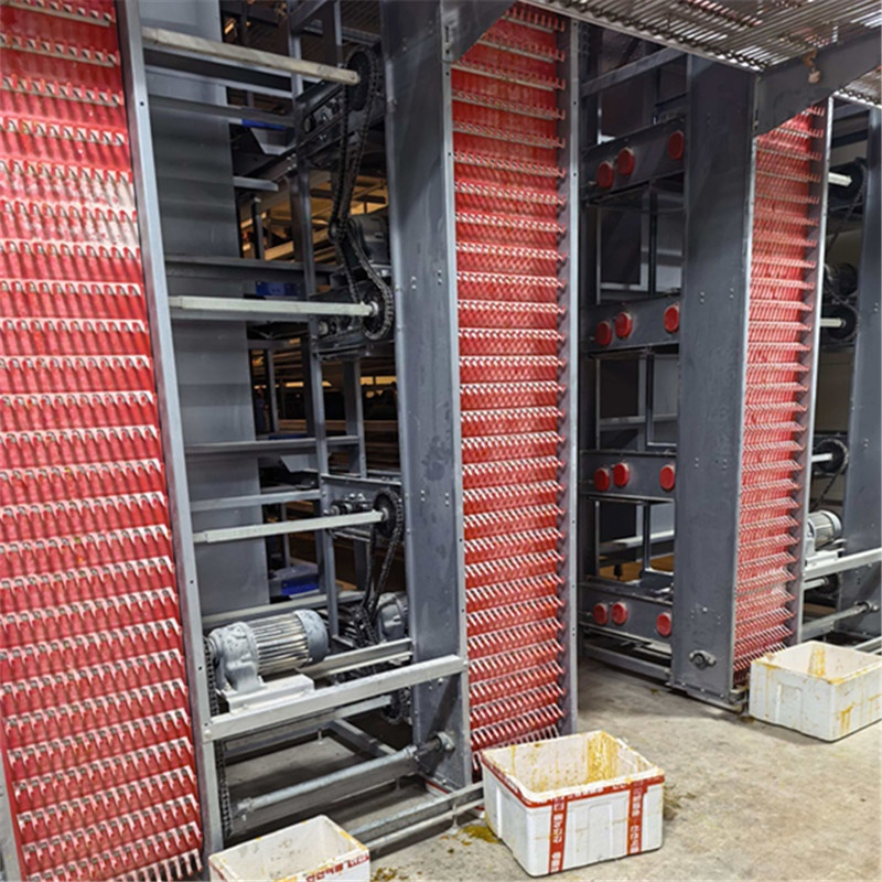 Bird Behavior Monitoring and Analysis Systems Chicken Cage Equipment