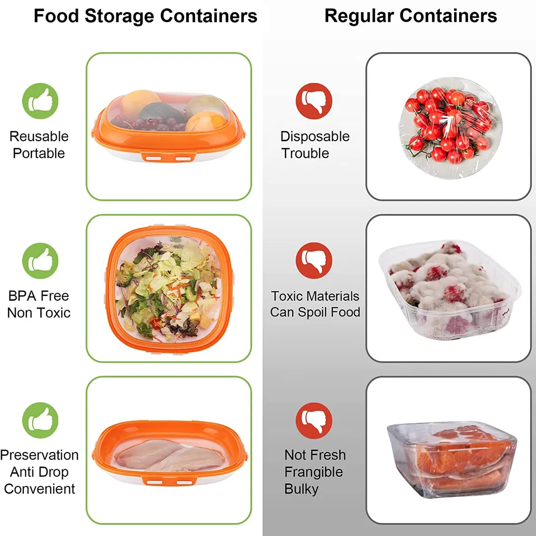 Food Preservation Tray 7