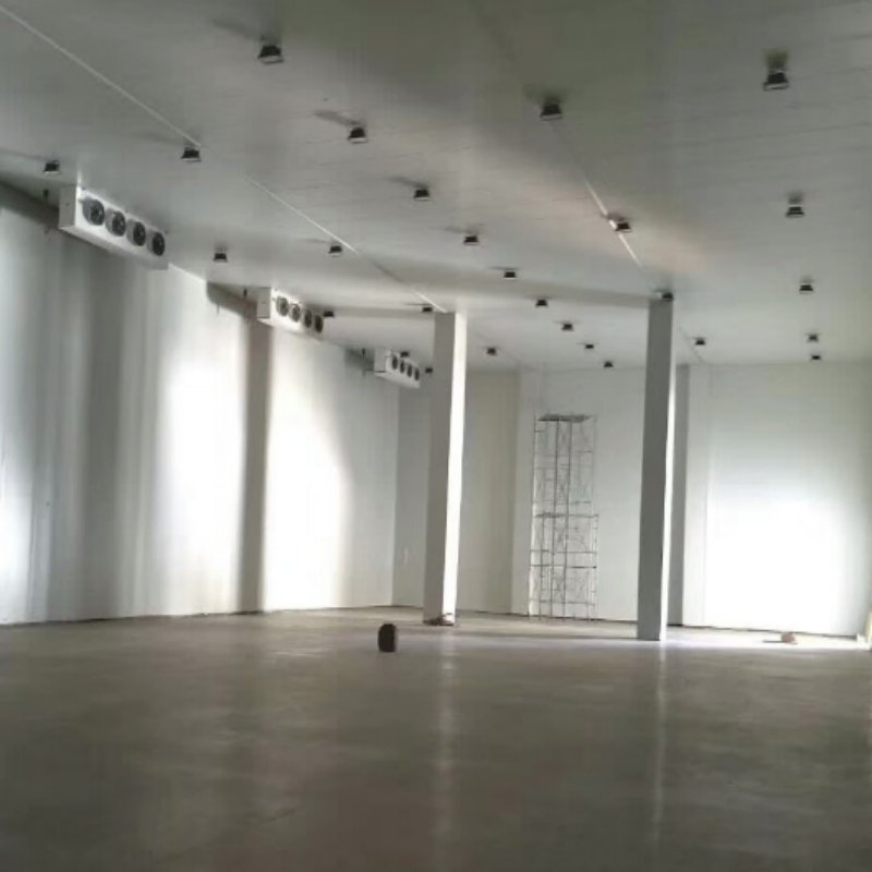 Hot Selling Products China Supplier Cam-Lock Design Freeze Meat Cold Storage