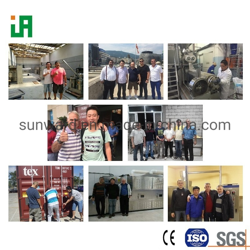 Eco Friendly Vegetarian Meat Textured Vegetable Protein Processing Plant Processing Line Machines Ekstruder and Drying Equipment