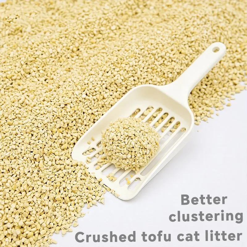 Cat Litter Photo 3