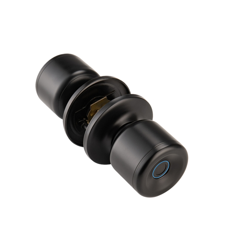 Advanced Biometric Enhanced Security Long-Lasting Fingerprint Smart Lock