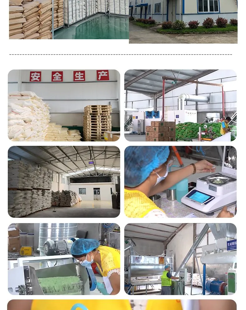 Cassava Cat Litter 8