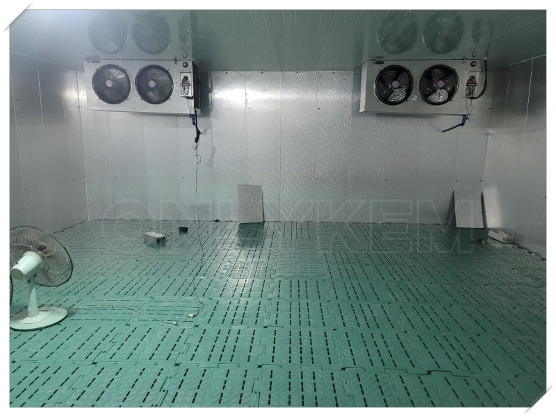 Frozen Fish Seafood Fruits Chiller Room Cold Storage Freezer in Honduras