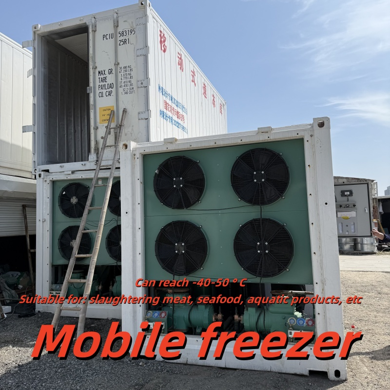 Walk-in Blast Cold Storage: Lock Freshness for Meat &amp; Seafood