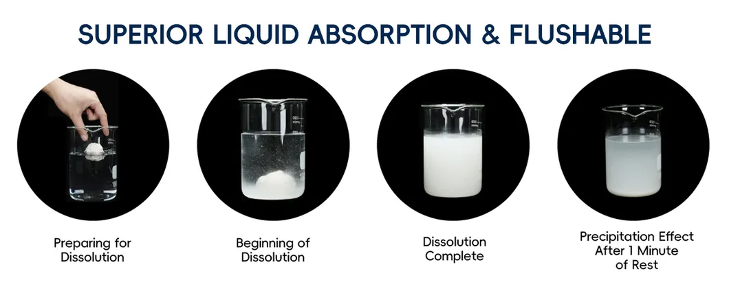 Sustainable Pet Owners Choice