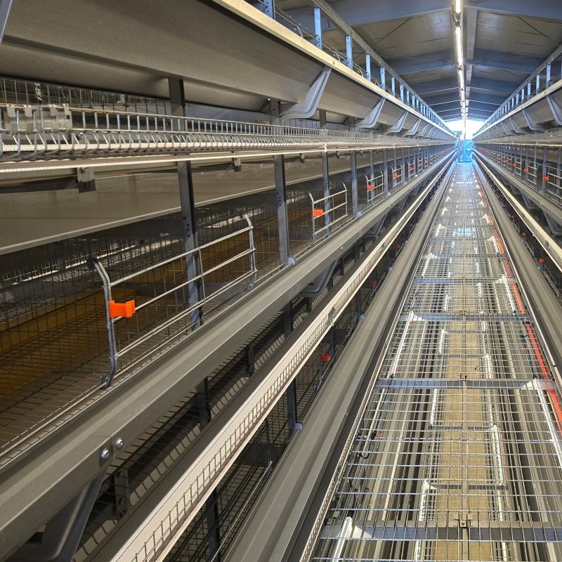 Bird Behavior Monitoring and Analysis Systems Chicken Cage Equipment