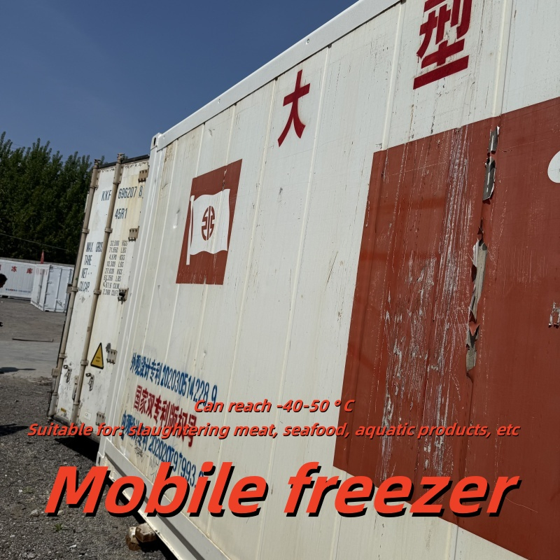Mobile Fresh Sea Fish and Shrimp Quick Freezing Storage